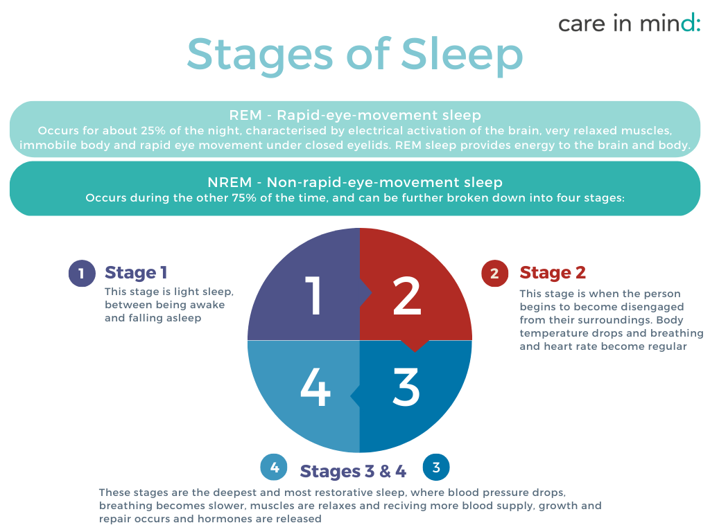 Infographic detailing stages of sleep